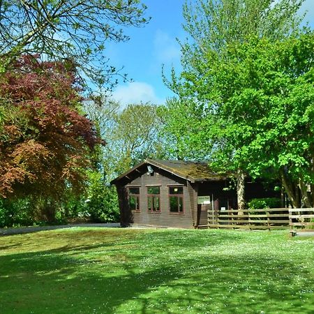 Willa 37 Trevithick Court, Tolroy Manor Hayle Zewnętrze zdjęcie